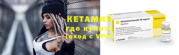 трава Белокуриха